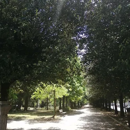 Il Labirinto Sulmona