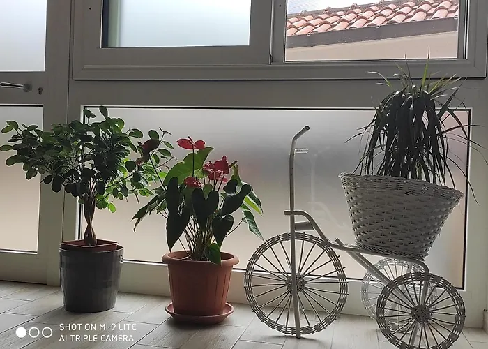 Il Labirinto Sulmona