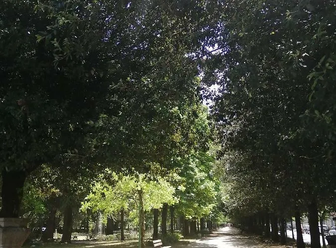 Il Labirinto Sulmona